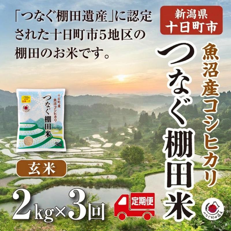 【令和8年産 新米】 【定期便／全3回】玄米2kg  令和8年産新潟県十日町市魚沼産コシヒカリ「つなぐ棚田米」 米 こしひかり 玄米 十日町市