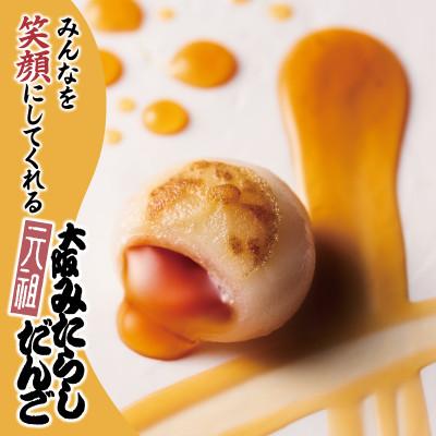 ふるさと納税 泉佐野市 元祖大阪 みたらしだんご 12個×6箱【専用箱】 099H3471 |  | 01