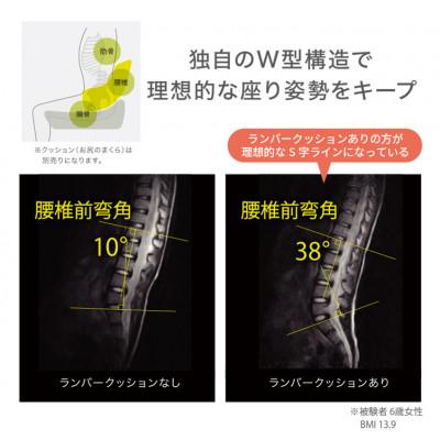 ふるさと納税 近江八幡市 【nishikawa/西川】Keeps(キープス)ランバークッション for Kids/ラベンダー |  | 01