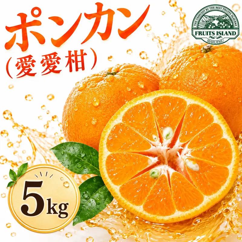 先行予約 ポンカン 約5kg 愛愛柑 10000円 柑橘 ぽんかん 愛媛 愛南 マルエム直販