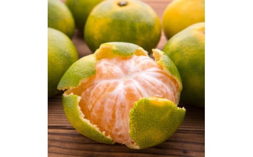 【初秋の美味】有田育ちのご家庭用訳ありゆら早生有田みかん 1kg+200g(傷み補償分)【サイズ混合】【2026年10月中旬～11月上旬頃に順次発送予定】※北海道・沖縄・離島配送不可 / 和歌山 ミカ