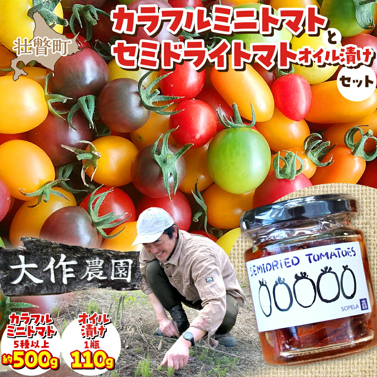 【ふるさと納税】北海道壮瞥産 大作農園の「カラフルミニトマト」約500g（5種以上）とセミドライトマトオイル漬け1瓶（110g）のセット ふるさと納税 人気 おすすめ ランキング トマト ミニトマト アイコ オイル漬け 野菜 甘い パスタ サラダ 北海道 壮瞥町 送料無料 SBTR008