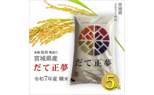 ＜だて正夢＞宮城県産 令和7年産 精米 5kg(5kg×1袋)【1700765】