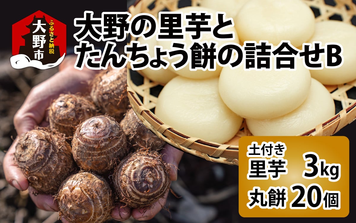 
                  大野の里芋とたんちょう餅の詰め合わせB（里芋3kg+丸餅20個入り×1袋）【2025年11月30日より順次発送】[A-001070]
                