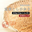 【ふるさと納税】令和6年産／お米定期便／4カ月 しまね川本 玄米 こしひかり5kg (計20kg） 島根県 川本町産 玄米 藤屋 石見米