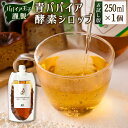 【ふるさと納税】［お試し］青パパイア酵素シロップ（250ml×1個）ポスト投函