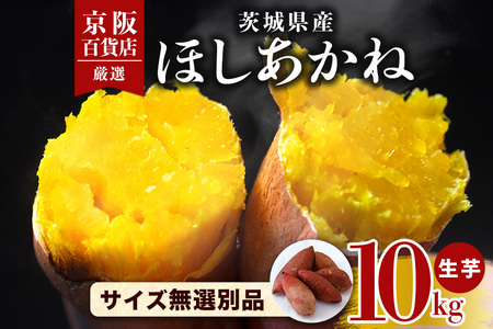 【京阪百貨店厳選】茨城県産ほしあかね 10kg [サイズ無選別品] 芋 さつま芋 サツマイモ さつまいも B18-012