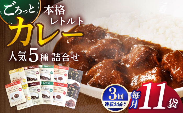 
【全3回定期便】【カレー好きのためのアソートセット】カレー工房NVfoodsのカレー5種（12袋）詰め合わせセット [KAB288]
