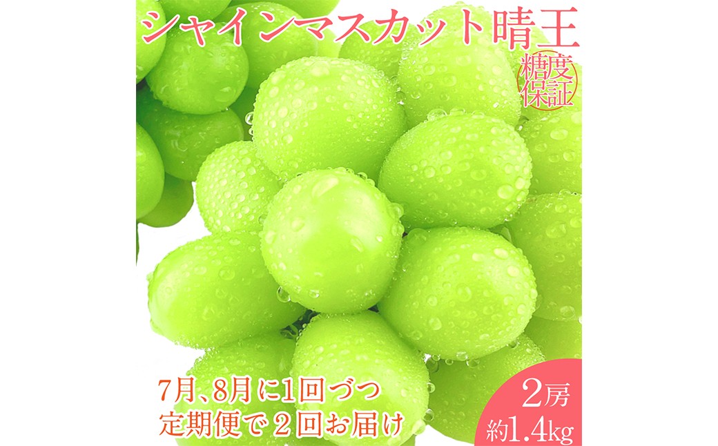 
            シャインマスカット 晴王 2房 約1.4kg 【先行予約：2026年7月上旬～8月下旬発送予定2回定期便】 岡山県産 種無し 皮ごと食べる みずみずしい 甘い フレッシュ 温室栽培 瀬戸内 晴れの国 おかやま 果物大国 満天フルーツ 定期便 倉敷市
          