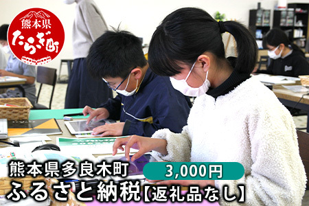 熊本県多良木町への寄附（返礼品はありません）【 ふるさと納税 熊本県 多良木町 応援 寄附 】028-0344-03