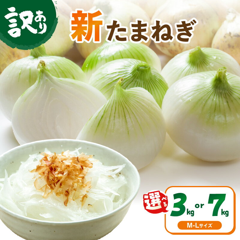 【ふるさと納税】残りわずか/高評価★4.79 ＼春【訳あり】 新玉ねぎ／新たまねぎ 3kg 7kg 選べる 内容量 甘い 新鮮 国産 玉ねぎ 3キロ 7キロ ふるさと納税 たまねぎ 訳あり 訳有り わけあり 不揃い ふぞろい野菜 新たま ふるさと納税 新玉ねぎ 2027年産 5月下旬～6月下旬発送
