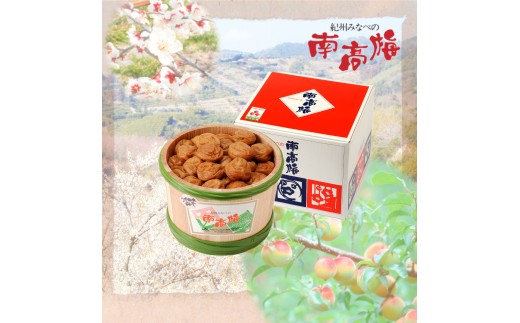 N316 紀州うす塩味梅