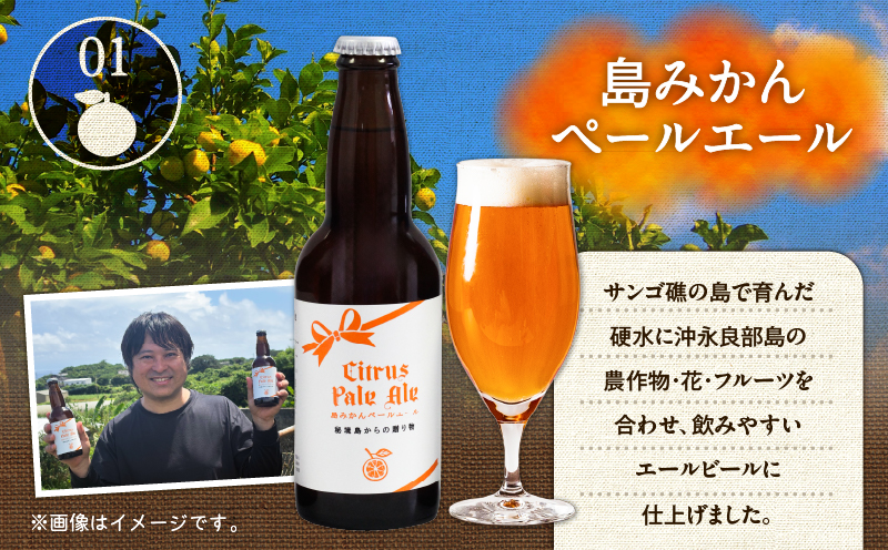 花火大会応援！島のビール”島みかんペールエール”とじゃがいもチップス”えらぶchips”の「晩酌セット」 ビール×2本、チップス×2袋　C064-002-01