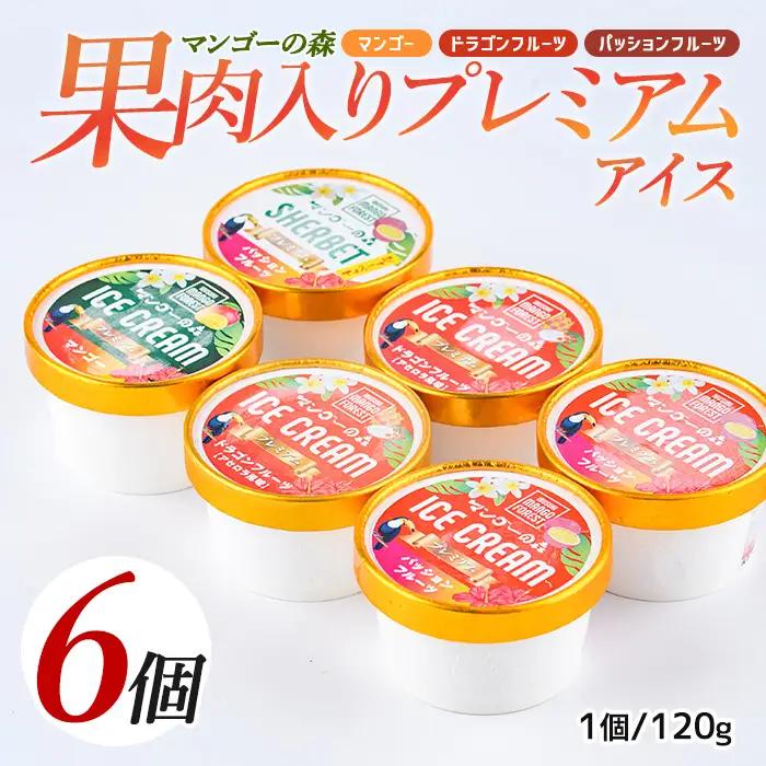 ゴロゴロ果肉入りプレミアムアイス6個セット マンゴーの森 IB040-007 アイス アイス