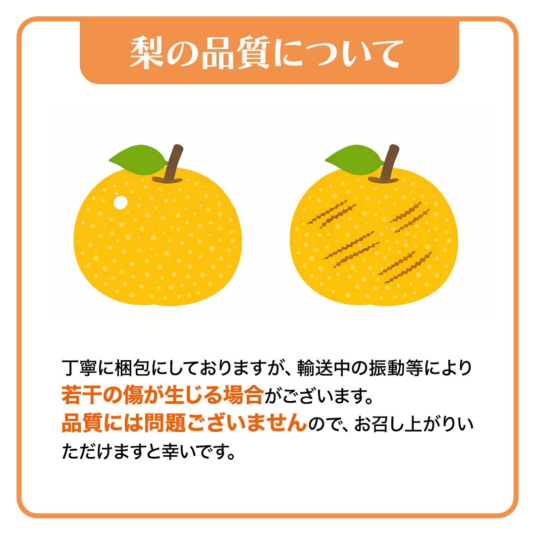 豊水 超大玉 約 3kg 3～4玉 (茨城県共通返礼品:かすみがうら市) 2026年 マスカット ぶどう 葡萄 ブドウ フルーツ 果物 くだもの 旬 食べ比べ セット 詰め合わせ 国産 産地直送 ギフ