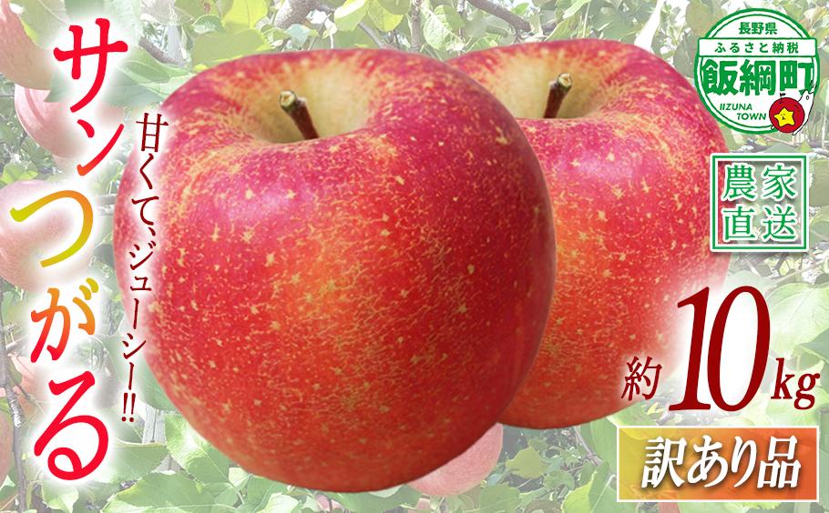 
                  りんご サンつがる 訳あり 10kg 関農園 沖縄県への配送不可 2026年8月下旬頃から2026年9月上旬頃まで順次発送予定 エコファーマー認定 令和8年度収穫分 傷 不揃い リンゴ 林檎 果物 フルーツ 信州 長野 予約 農家直送 長野県 飯綱町 [1088]
                