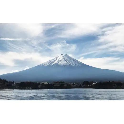 富士山ソファー3人掛 ソファータイプⅡ(富士)【完成品開梱設置】【043-013】
