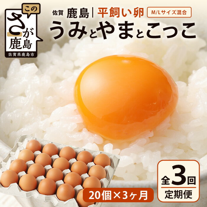 【ふるさと納税】【定期便 3回】平飼い卵「うみとやまとこっこ」20個×3か月（合計60個）上田養鶏場 生産者直送 | ふるさと納税 卵 平飼い たまご 定期便 定期 3回 3ヶ月 タマゴ 玉子 鶏卵 ふるさと 産地直送 佐賀県 鹿島市 送料無料 C-112