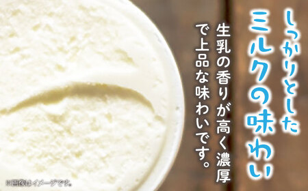 【濃厚ミルク】ジェラート ミルク3個 黒ゴマ3個 計6個入り / アイスクリーム スイーツ / 南島原市 / 高原ファーム[SFP002]