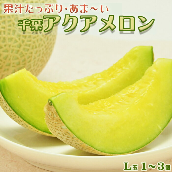 【ふるさと納税】【高橋メロン農園】千葉アクアメロン L玉以上 × 1個 [0010-0097]