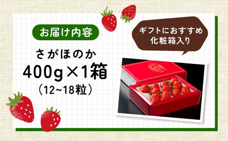 【先行予約】【化粧箱入り】白石産いちご「さがほのか」400g / イチゴ 苺 フルーツ 果物 / 佐賀県 / 岸川農園 [41ASAG003]