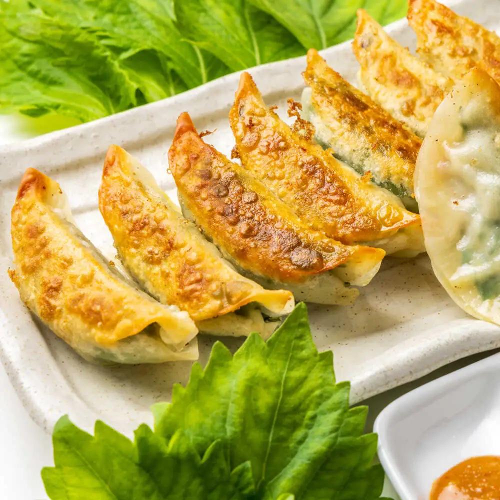 【全6回定期便】【3パック】餃子屋ヒロの 人気のしそ餃子 ぎょうざ[BDAS011]