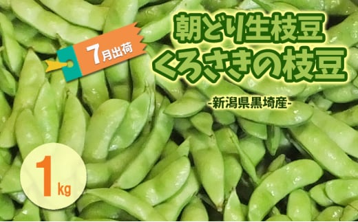 7月出荷 朝どり生枝豆 くろさきの枝豆1kg 新潟県黒埼産 新潟市 枝豆 えだまめ えだ豆