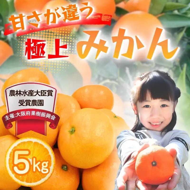 【農林水産大臣賞受賞】みかん 5kg 2026年11月下旬より発送 