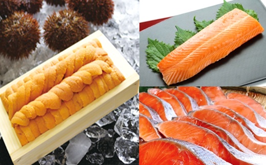 D-71069 エゾバフンウニ約100g×1折・お刺身サーモン300g～500g(1～3本)、塩銀鮭切り身×10切(個包装)[11月下旬以降発送]