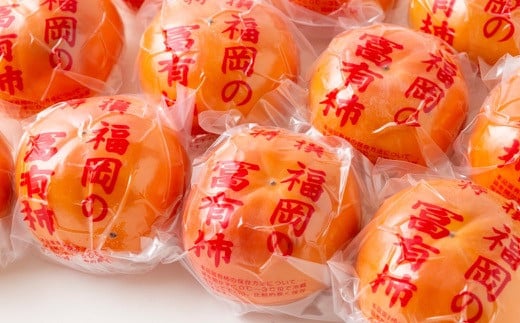 【先行予約】やまんどん 冷蔵富有柿 2Lサイズ 10玉前後 2025年12月中旬から12月下旬 出荷予定