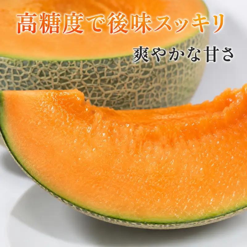 タカミレッドメロン 2玉 メロン 先行予約