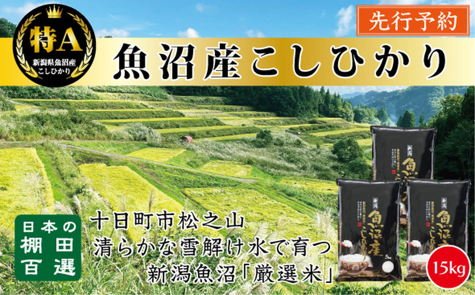 【令和７年産新米予約】【食味鑑定士厳選】　日本の棚田百選　新潟県十日町（魚沼）産　コシヒカリ15kg(5kg×3)