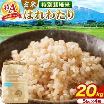 ふるさと納税 弘前市 米【特別栽培米】はれわたり 玄米 20kg(5kg×4袋)R7年産 特A|24_mft-082001