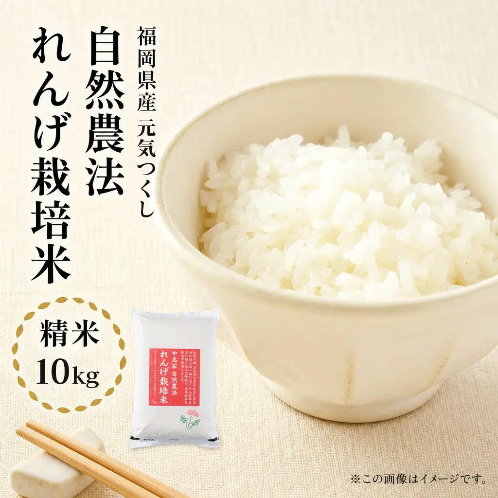 令和8年産 予約 れんげ農法栽培米「元気つくし」（精米10㎏） BI23