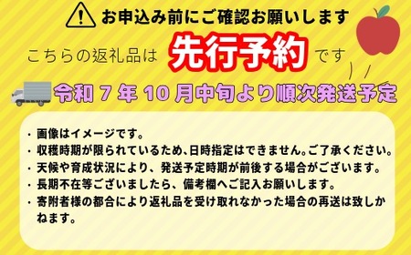 【先行予約】シナノスイート【約3ｋｇ(6〜10玉)】 (7-A24-1)