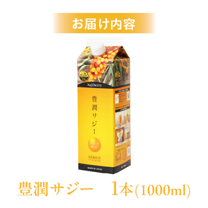 豊潤サジー 1000ml サジージュース【紙パックタイプ】 鉄 鉄分 果実