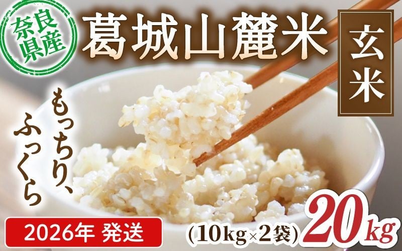 
                  先行予約 葛城山麓米 ヒノヒカリ（玄米）計20kg [ 10kg×2袋 ] 令和8年産 【2026年10月下旬～順次発送】／ スマイル葛城農業 若手農家 玄米 栄養 新規就農 ごはん お米 米 おいしい ふっくら 農家直送 奈良県 葛城市【smlk026】
                