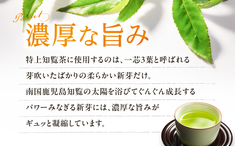 特上知覧茶ティーバッグ　K345-001
