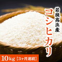 【ふるさと納税】【令和5年産】【3ヶ月定期便】若狭高浜産 コシヒカリ 精米 10kg × 3回 計30kg エコファーマー認定農家栽培 [D-010001] | お米 定期便 コシヒカリ 10kg 精米 白米 ご飯 ごはん 単一原料米 エコファーマー食品 美味しい 送料無料