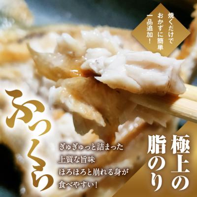 ふるさと納税 愛南町 数量限定 ブリカマ 2.5kg ハマスイ 愛南町 愛媛県 |  | 01