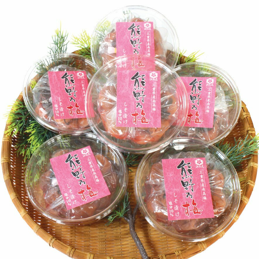 【ふるさと納税】 梅干し 熊野乃梅 しそ漬け 小分け 6パックセット 180g×6 三重 熊野市