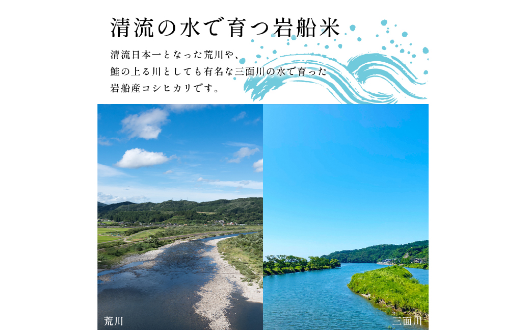 【新米受付・令和8年産米】自然豊かな風土が育んだ新潟県村上市岩船産コシヒカリ15kg（5kg×3袋）NC4023