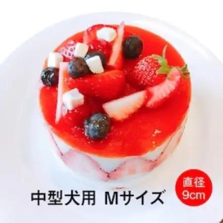 わんちゃん用フレジエケーキ【Mサイズ】【配送不可地域：離島】【1674249】