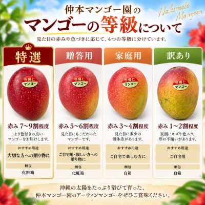 【2027年6月下旬から順次発送・贈答用】仲本マンゴー園のアーウィンマンゴー2kg(4～6玉)【配送不可地域：離島】