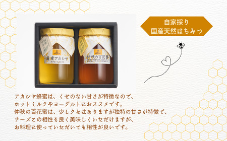 自家採り国産天然はちみつ 2本セット(460g×2)【渡辺養蜂場】