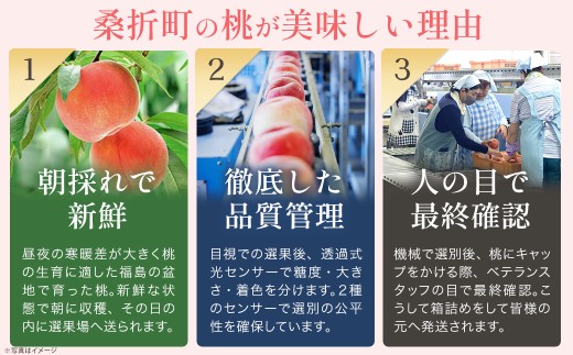 もも【日川白鳳・2027年先行予約】特秀2.5kg（7～9玉）桑折町振興公社 ／ もも モモ 果物 早生桃 桃 白桃 フルーツ 2.5kg 大容量 特秀品 果汁たっぷり やわらかい 甘い果物 家庭用 