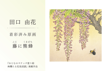 田口由花　着彩済み原画「藤に熊蜂（ふじにくまばち）」（『おとなのスケッチ塗り絵　絢爛たる花鳥図譜』掲載作品）【0109-002-3】色鉛筆画 日本画 絵画 ｲﾝﾃﾘｱ 原画 芸術品 美術品
