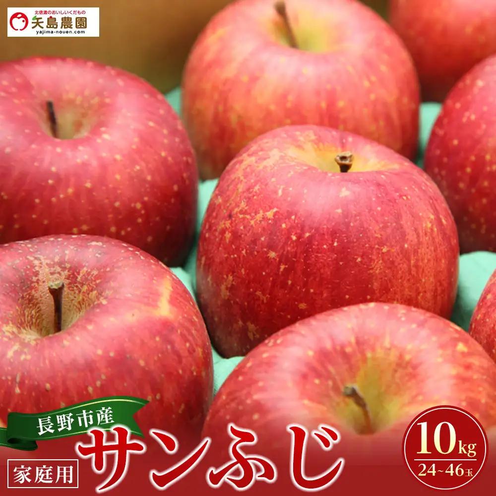 矢島農園　 長野市産 サンふじ 家庭用 10kg(24～46玉)サイズふぞろい【2026年12月中旬頃～発送予定】 | りんご フルーツ 果物 りんご