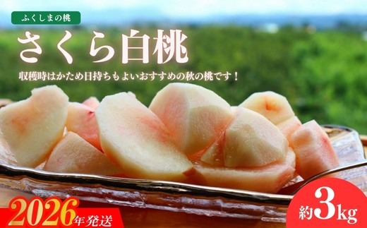No.2640福島の桃「さくら白桃」約3kg【2026年発送 先行予約】