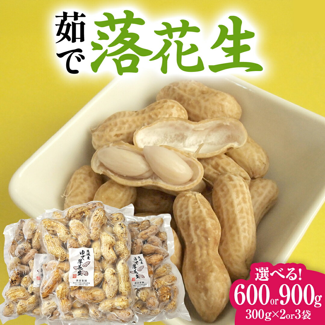 【ふるさと納税】【 選べる 袋数 】 牛久市産 茹で 落花生 1袋 300g入り《 2袋 or 3袋 》 茹で落花生 ゆで落花生 ピーナッツ ナッツ 詰合せ 豆 無塩 塩分不使用 おつまみ おやつ お菓子 素焼き マメ まめ 料理 お茶漬け 国産 小分け お取り寄せ グルメ 茨城県